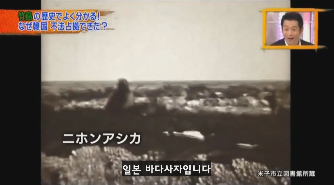 독도를 일본땅이라고 주장하는 일본방송의 논리 | 인스티즈