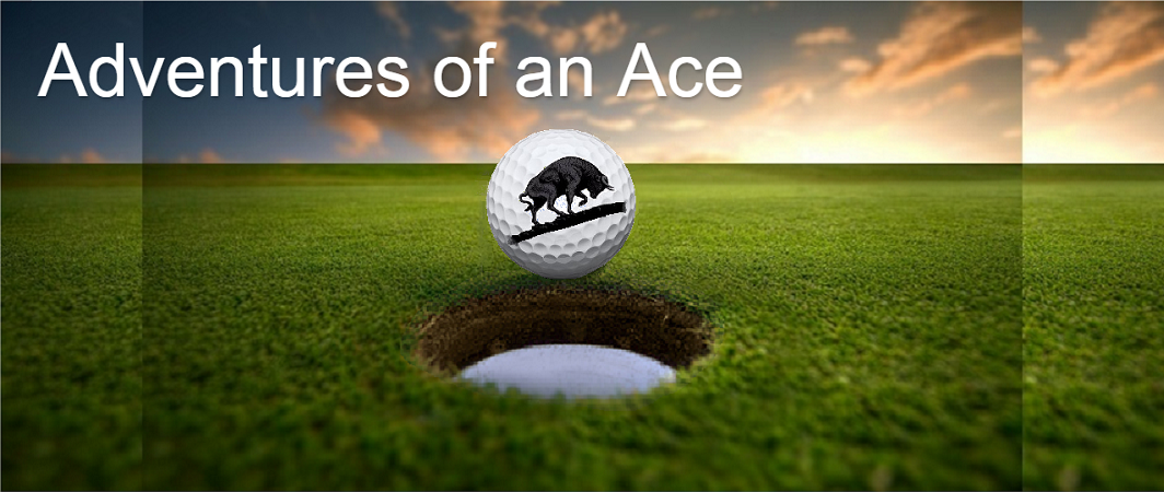 Adventures of an Ace