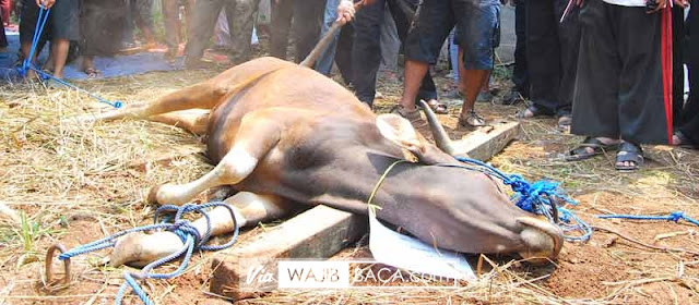 Berqurban untuk Orang yang Telah Meninggal, Apa Boleh?