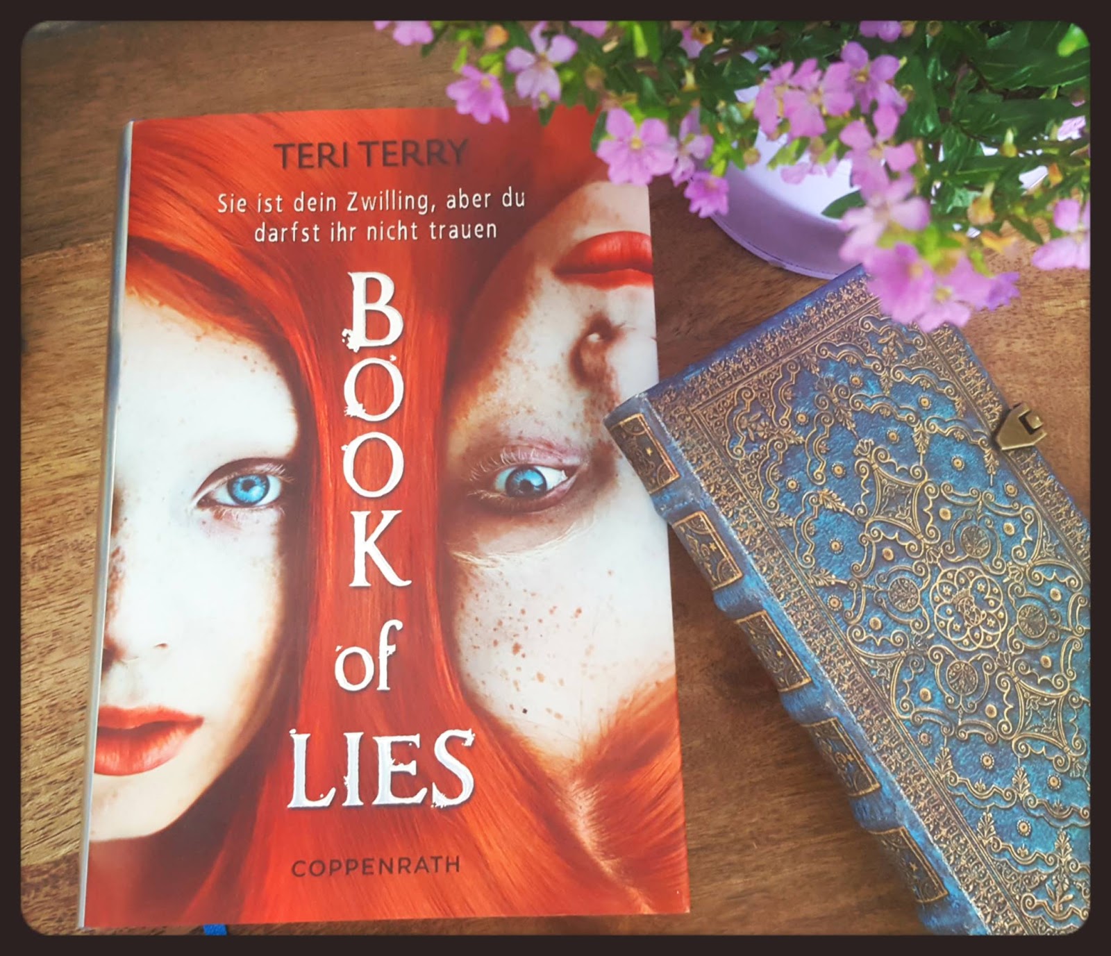 fated book teri terry fated book teri terry