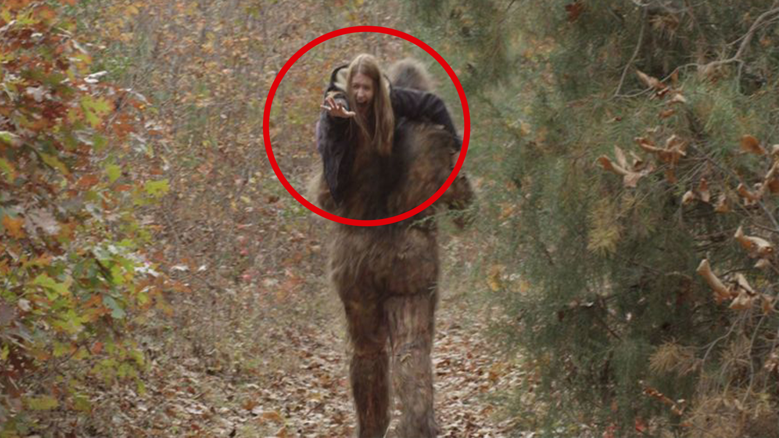 Mundo Sobrenatural 5 Aterradores Momentos cuando captan a Pie Grande Mundo Sobrenatural 5 Aterradores Momentos cuando captan a Pie Grande