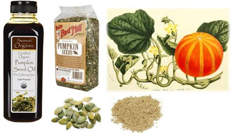 Pumpkin Seeds For Deworming Cats And Dogs Pumpkin Seeds For Deworming Cats And Dogs