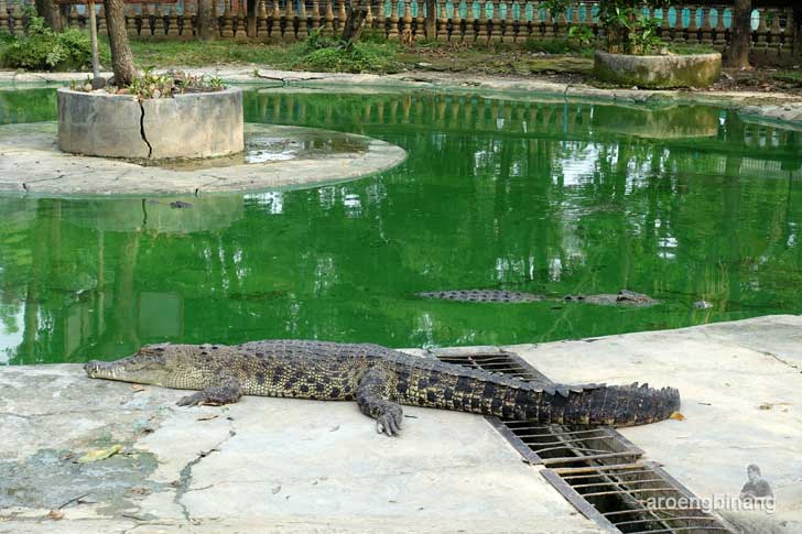 taman buaya indonesia jaya bekasi