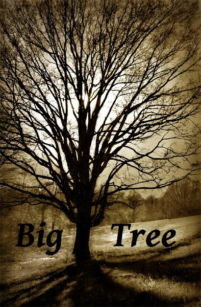  Big Tree