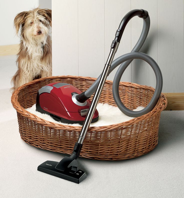 Miele Compact C2 Cat & Dog Powerline Review Australian Dog Lover