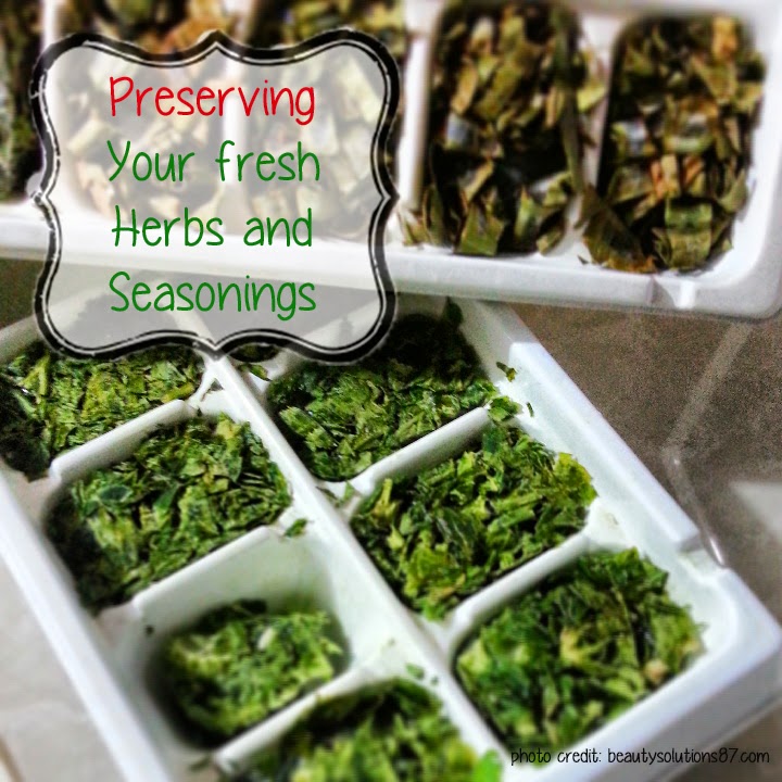 BeautySolutions87 Preserving Your Fresh Herbs and Seasonings