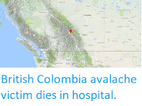 https://sciencythoughts.blogspot.com/2018/02/british-colombia-avalache-victim-dies.html