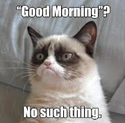 Friday Funnies - Grumpy cat edition grumpy cat 