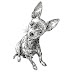 DISEÑOS DOG HAND DRAWN