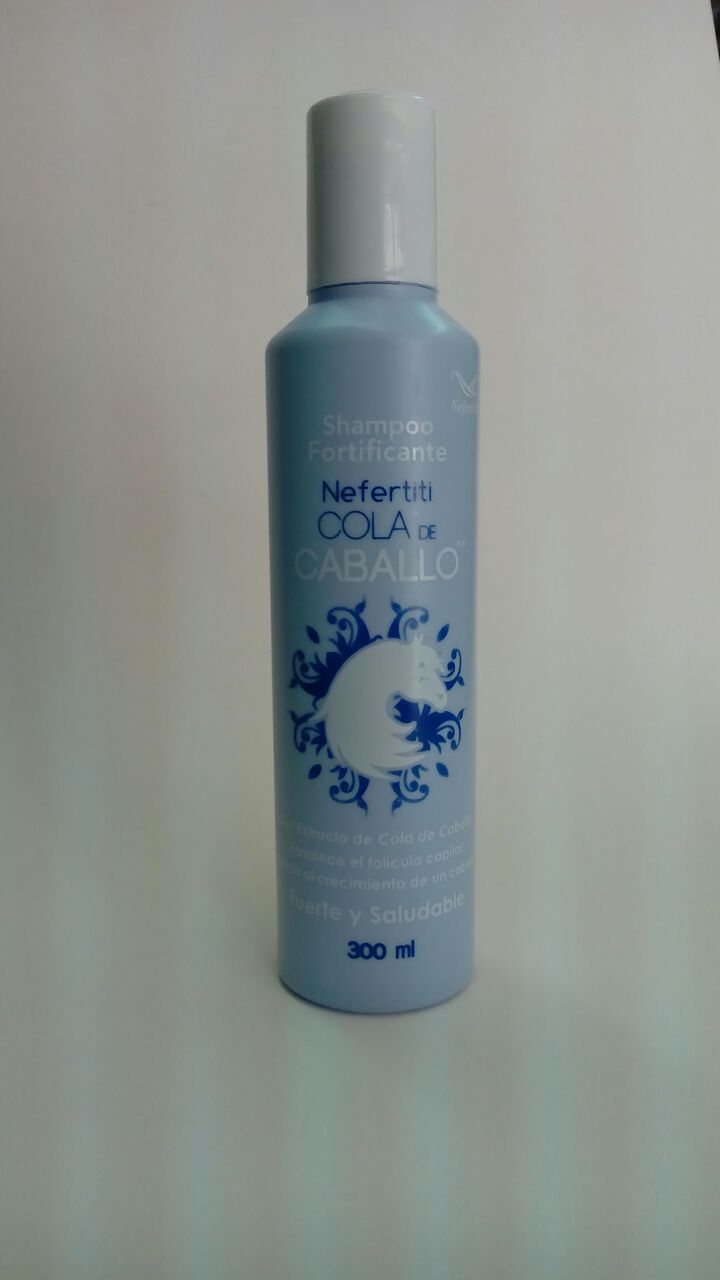Productos de belleza Aguascalientes Cuidado del Cabello Nefertiti
