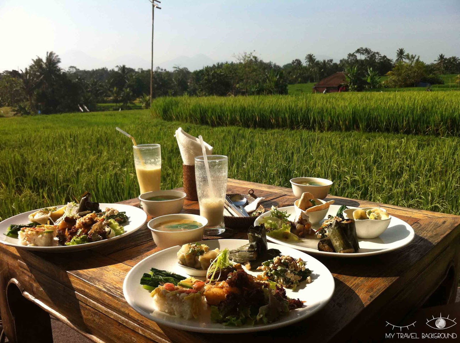 My Travel Background : 10 choses à faire à Bali - Manger dans des endroits incroyables