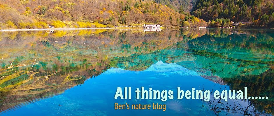 All things being equal..... Ben's Nature Blog