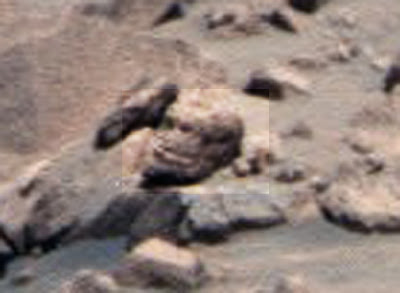 Mars skull, anomaly skulls on Mars life on Mars