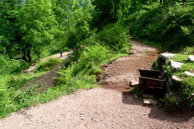 Fuente en La Majada de Prieya - Sierra del Crespón Fuente en La Majada de Prieya - Sierra del Crespón