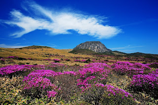 Hallasan - Jeju Hallasan