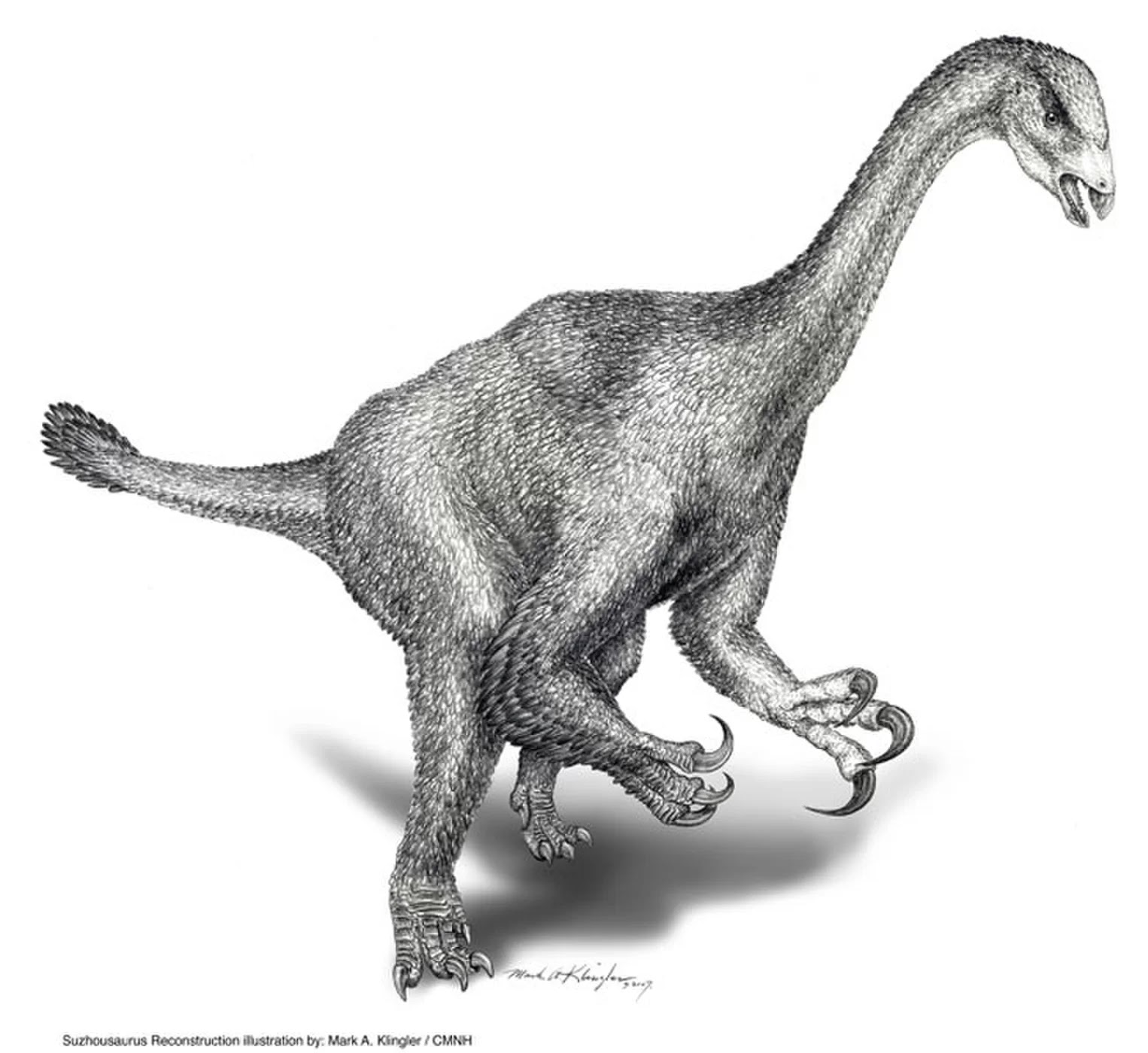 Suzhousaurus Megatherioides