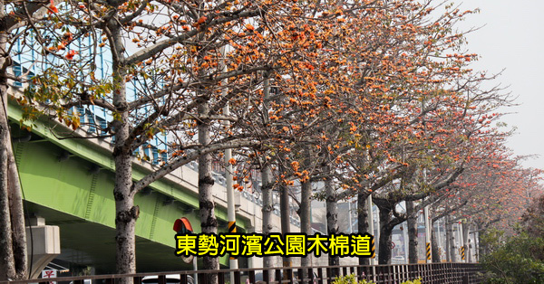 台中東勢|東勢河濱公園|東勢木棉道|自行車人行步道|陽光草坪|休閒好去處 台中東勢|東勢河濱公園|東勢木棉道|自行車人行步道|陽光草坪|休閒好去處