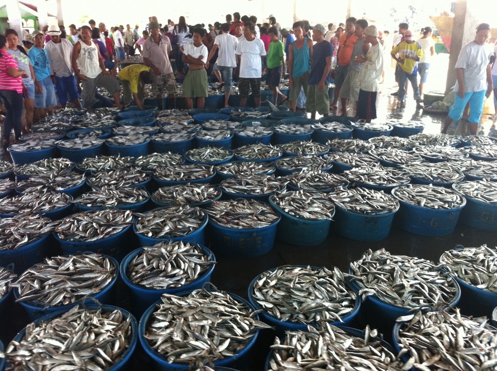 Stella Arnaldo's Blog: Travel Bites: Captivating Capiz