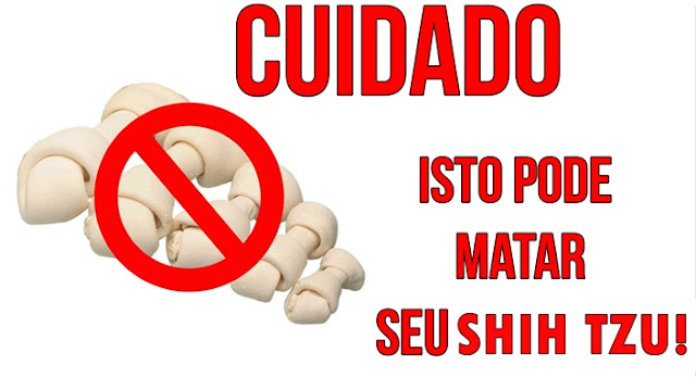 Os perigos dos ossos de couro para o shih tzu