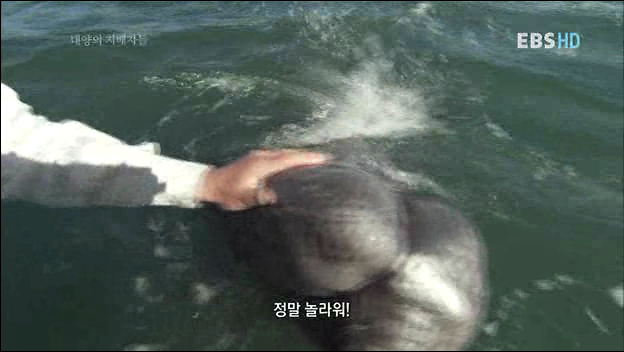 악마가된 귀신고래 이야기 | 인스티즈