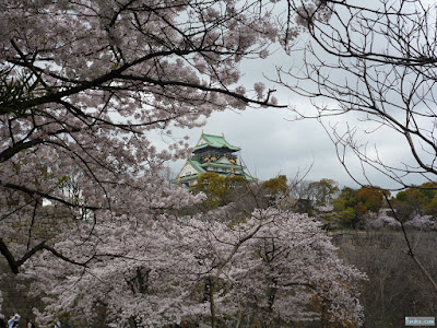 桜越しの大阪城 桜越しの大阪城