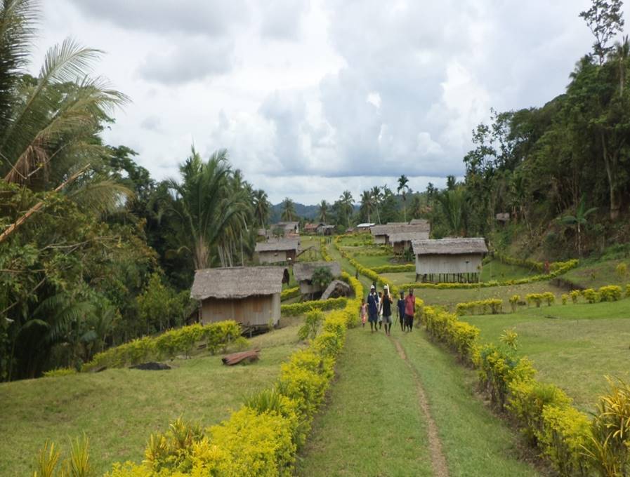 Joseph Angli Health Promotion and Healthy Island Concept Way forward