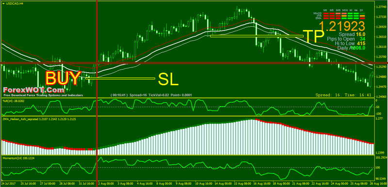 50 percent rule forex