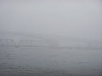 fog and cruising