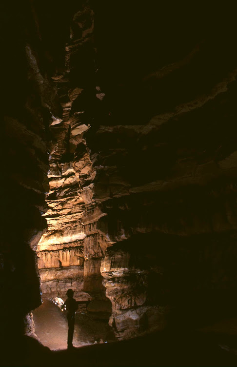 Cathedral Domes on the Wild Cave Tour. Photograph by Robert Cetera