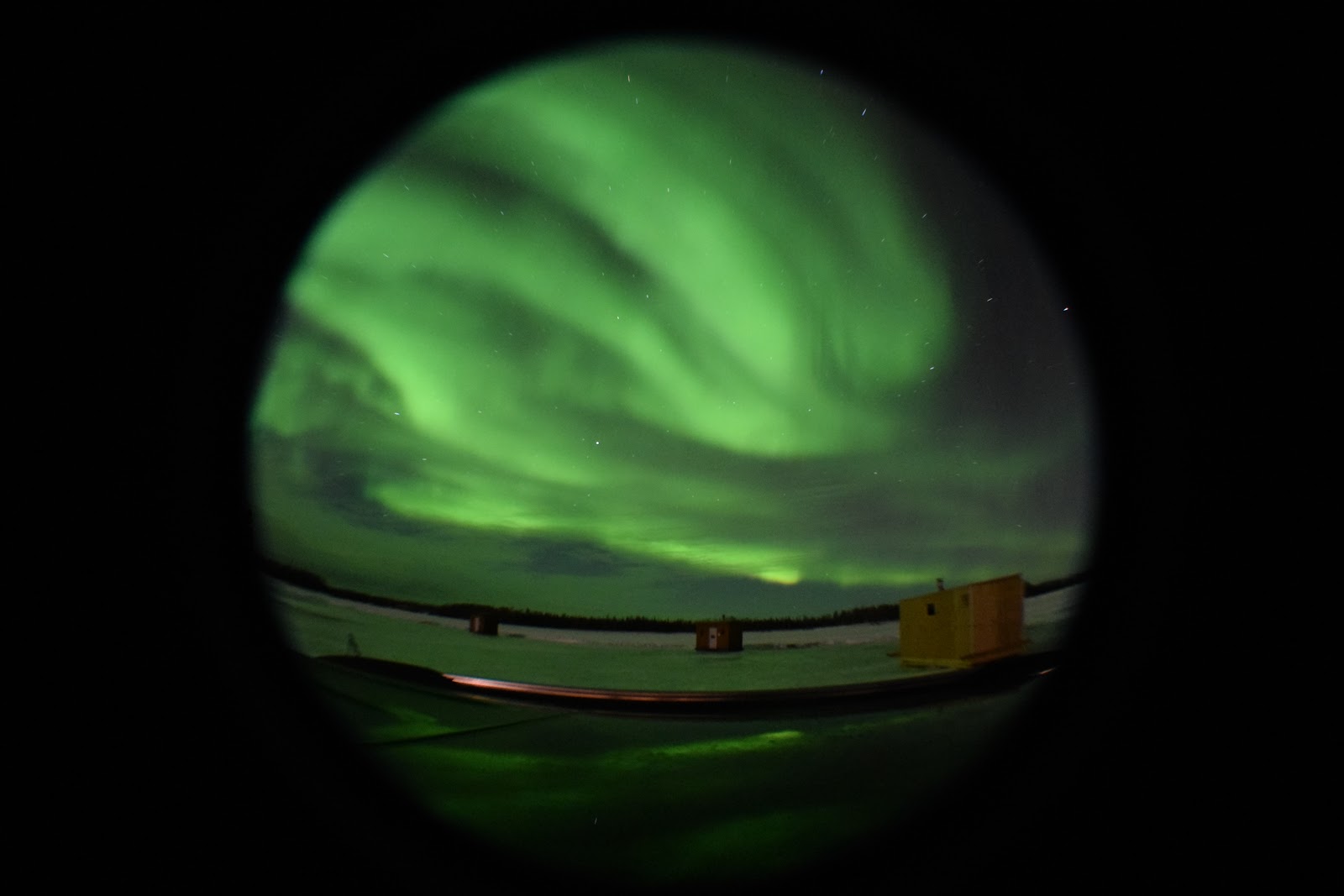阿拉斯加 Alaska Fairbanks: 阿拉斯加 Fairbanks 極光 Aurora
