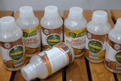 Obat Tradisional Pengapuran Tulang
