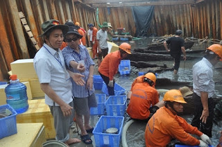 Propinsi Quang Ngai mungkin mengenai pusaka budaya dibawah permukaan air