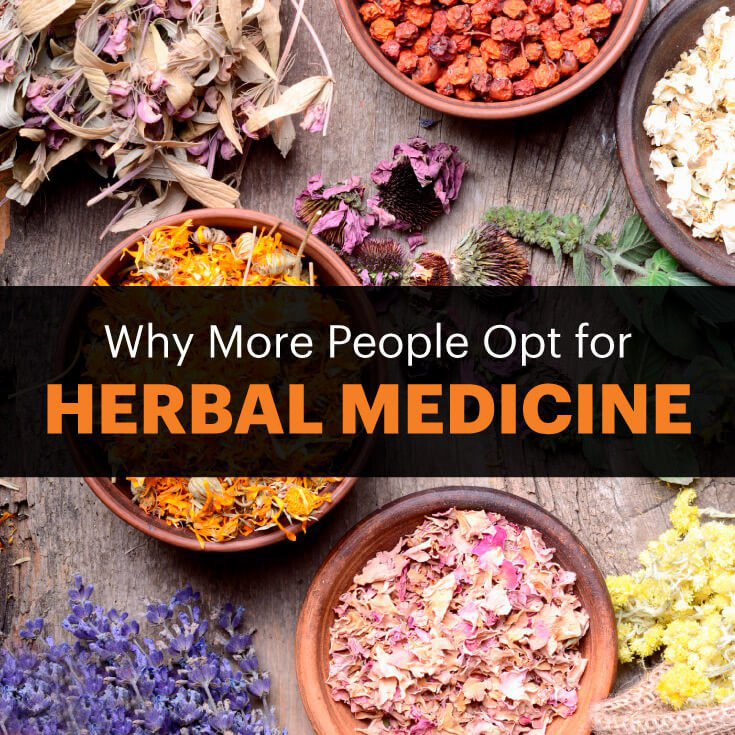 Arthritis Herbs and Ayurvedic Remedies History Of Herbal medicine