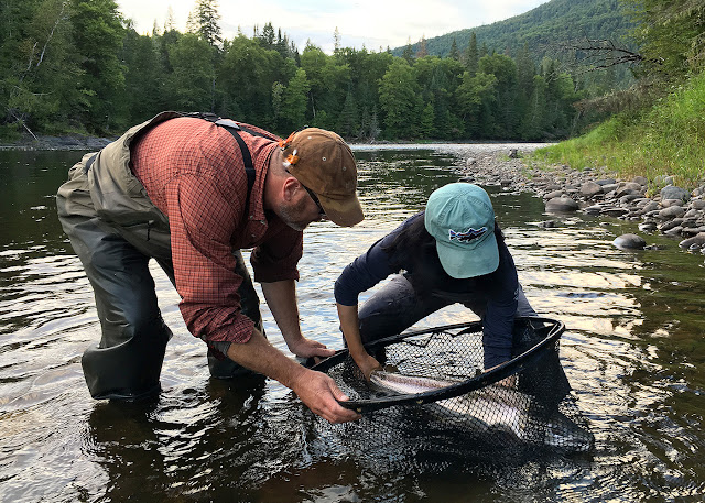 David Bishop and Hyun with a salmon in the net, Grand Cascapedia, Quebec David Bishop and Hyun with a salmon in the net, Grand Cascapedia, Quebec