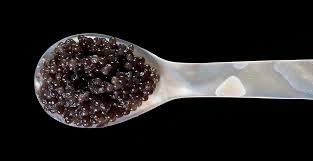 coffret cadeau caviar
