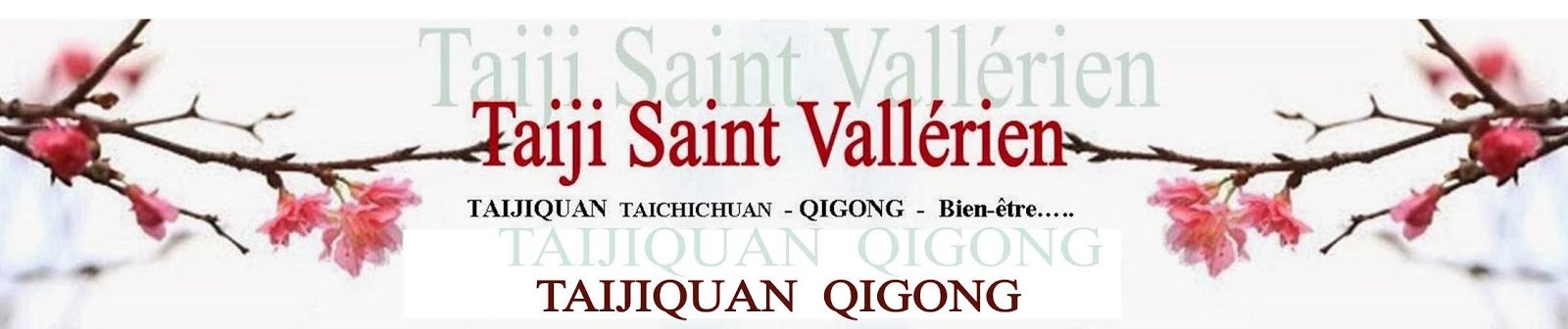 Taiji Saint Vallérien