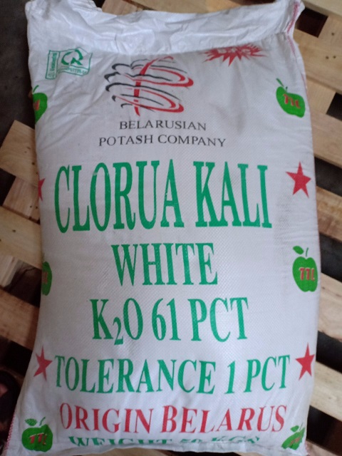 Kali Clorua KCl trắng (50kg/bao Israel)