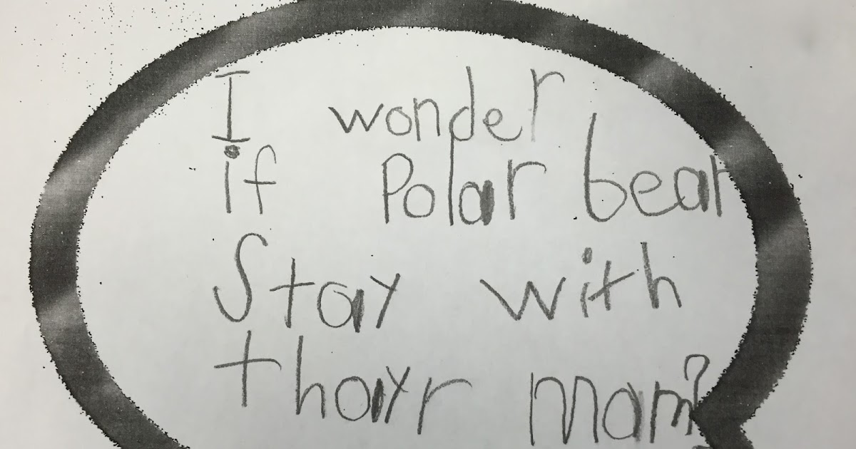 Wonder-full Inquiry: All About Polar Bears