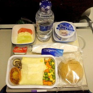 humble hypothesis: Airline Meal Review: Lacto-Ovo Vegetarian