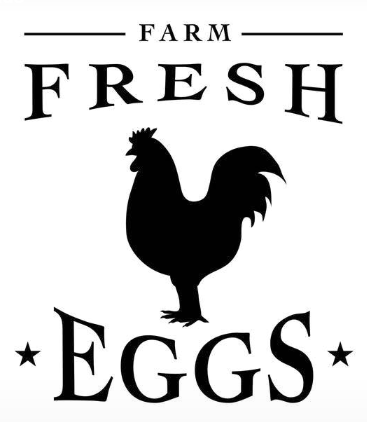 Cameron County PA News: Farm Fresh Eggs Available