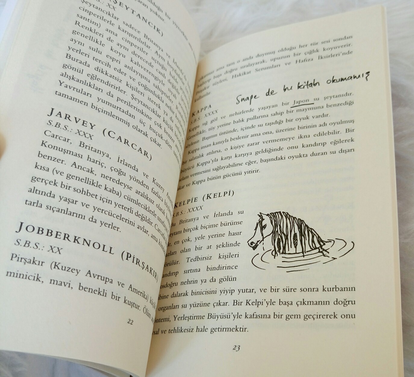 Kitaplarim Ve Ben Kitap Blogu Okudum Bitti 59 Fantastik Canavarlar Nelerdir Nerede Bulunurlar J K Rowling