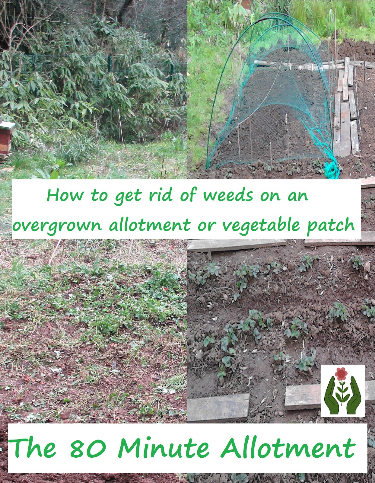 The Green Fingered Blog How to get rid of weeds on an overgrown
