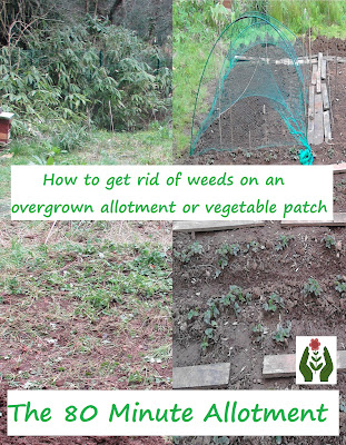 How to get rid of weeds from an overgrown allotment or vegetable patch 80 Minute Allotment Green Fingered Blog