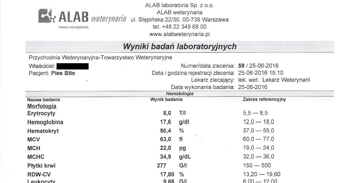 Uzasadnij Potrzebę Okresowego Wykonywania Badań Kontrolnych Moczu Świat według Bite'a: WYNIKI KONTROLNYCH BADAŃ KRWI czyli kontrola