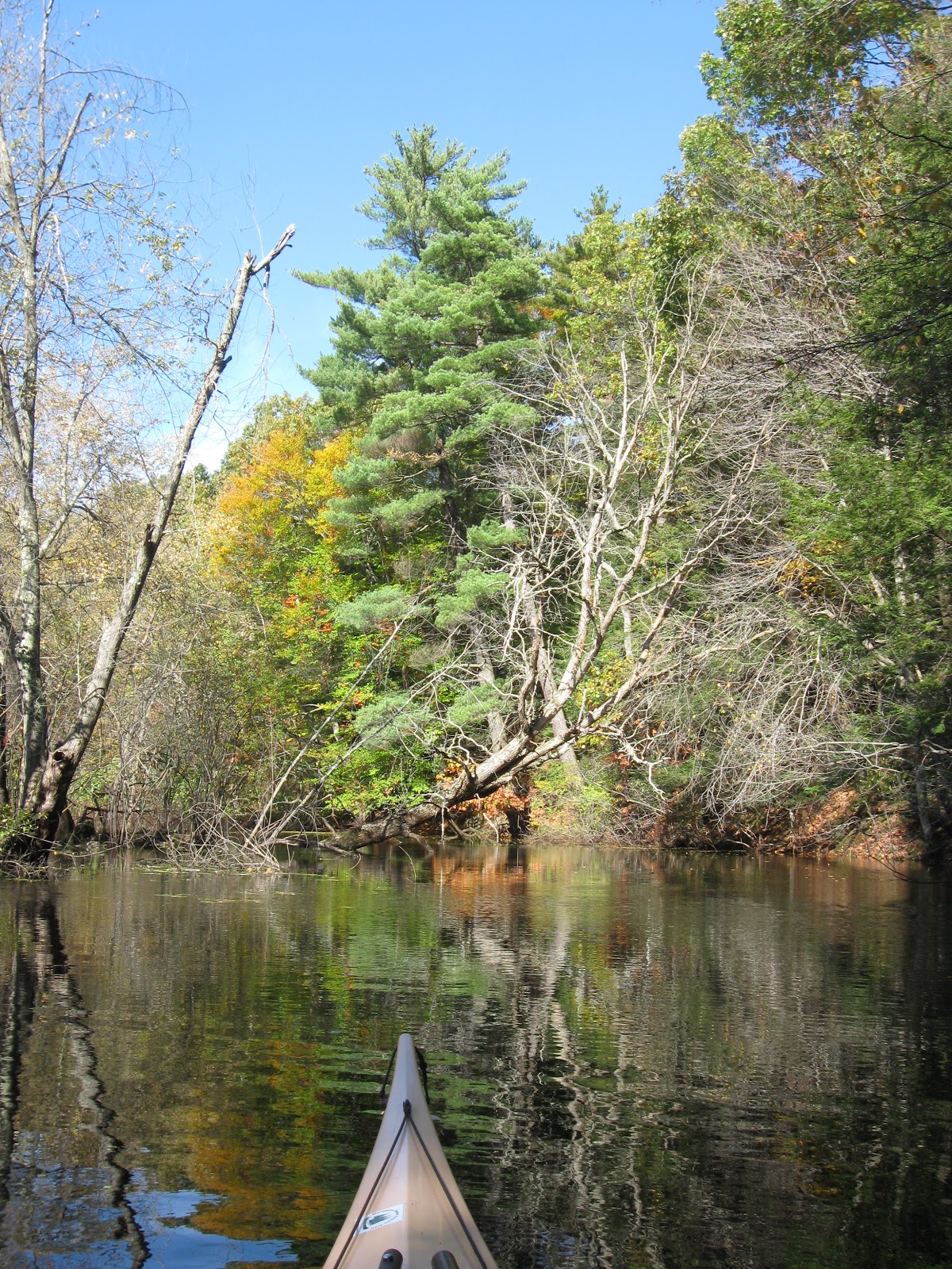Trashpaddler Sudbury River Oxbow Route to Power Lines