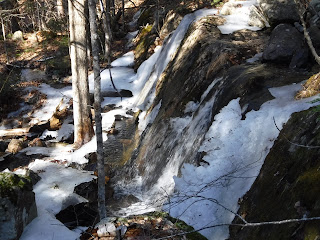 Tributary above Millbrook Falls on Old Norway Drive in Bar Harbor, Maine