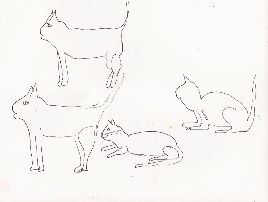 I am Rushmore Kitty gestures