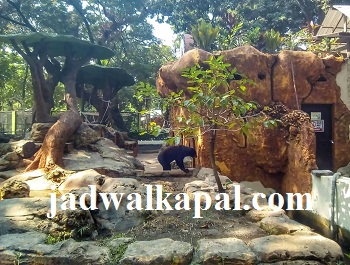 Harga Tiket Masuk Kebun Binatang Surabaya 2018 - Jadwal Kapal