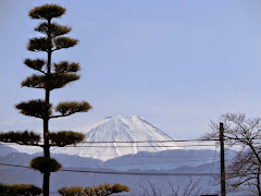 甲斐善光寺：富士の景色