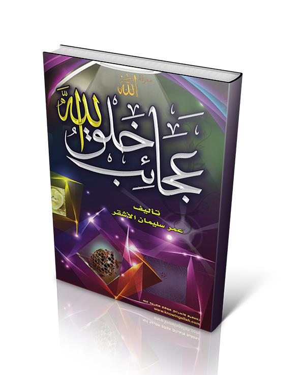 كتاب عجائب خلق الله [ عمر بن سليمان الأشقر ] - تحميل مباشر - PDF %D8%B9%D8%AC%D8%A7%D8%A6%D8%A8_%D8%AE%D9%84%D9%82+_%D8%A7%D9%84%D9%84%D9%87